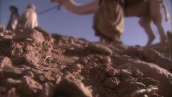 Men and women in robes lead camels through the Sahara Desert. Stock Footage