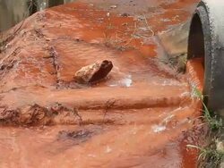 Sediment  of rusty water. HD Stock Footage