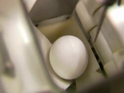 Shots of eggs on a conveyer Stock Footage