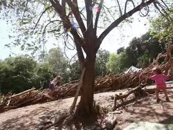 MS Little boy and little girl swing from tree in natural playground / Montezuma, Nicoya Peninsula, Costa Rica    Stock Footage