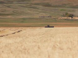 Farmer harvesting Wheat field Stock Footage