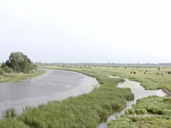 Wetland (HD) Stock Footage