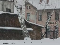 MS PAN Shot of across buildings onto main entrance gate of Auschwitz with snow rain / Auschwitz-Birkenau, Krakow, Poland Stock Footage