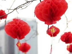 LA LS CU Chinese Lantern Festival celebrations on tree/xian,shaanxi,china Stock Footage