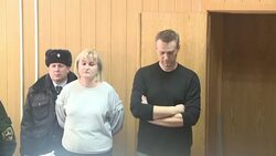 CLEAN : Kremlin critic Navalny gets 15 days in jail after protest News Clip