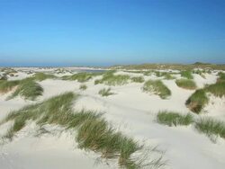 Dune Landscape of Amrum in Germany Stock Footage