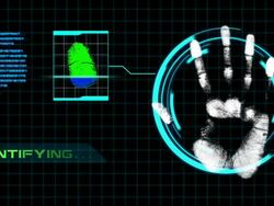 Two in One Video Fingerprint Scanning Security With Alpha Channel Stock Footage