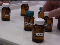 Commercial fishing continues in the Gulf as the oil slick continues to spread. But how do we know the fish we eat is safe? It appears the nose knows as seafood inspectors learn how to sniff out tainted product from oysters to shrimp and fish. News Clip