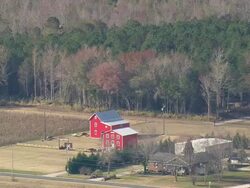 MS AERIAL Shot of trees with house / North Carolina, United States Stock Footage