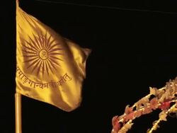 CU Flag waving at night / Varanasi, India Stock Footage