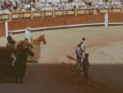 Archival Bullfighting Ring Stock Footage