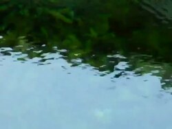 Raindrops Stock Footage
