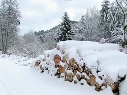 WS PAN Log covered with havey snow layers in winter / Saarburg, Rhineland-Palatinate, Germany Stock Footage