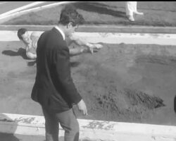 WHITE CITY CHAMPS News Clip