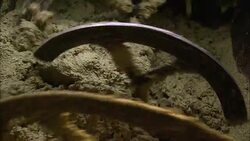 Blades churn olives. Stock Footage