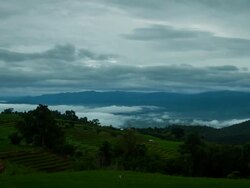 Terraced Rice Fields Stock Footage