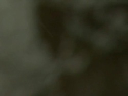 Focus on tree in snow, West Sussex, England Stock Footage