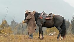 SLO MO DS Rancher stroking the horse in meadow Stock Footage