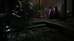 Night in the Jungle Stock Footage