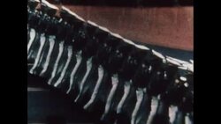 News Item (4f43881c-5cb5-3aba-9367-17947cbb30dc) Instructional Video