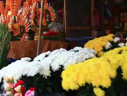 MS POV SLO MO Flwers stall at market / Vientiane, Laos Stock Footage