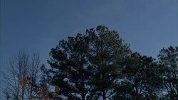 Old Monroe County Courthouse in Monroeville News Clip