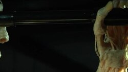 Body Worlds comes to Rome News Clip