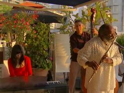 Jazz trio - piano, double bass and flautist / AUDIO Stock Footage