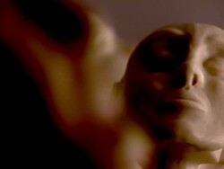 Plastic head Stock Footage