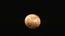Time Lapse of Full Moon Rising on Halloween Day Stock Footage