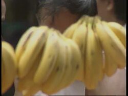 ROVING REPORT RR9930/B: MACAU: HANDOVER News Clip