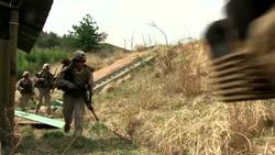 US Constitution: The Second Amendment Instructional Video