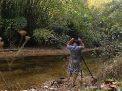 Wildlife Photographer taking picture of bird in the rainforest jungle Stock Footage