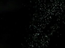 Snowfall Stock Footage