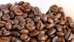 Coffee Beans Macro. Stock Footage