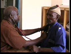 Nigeria screens farm workers for bird flu virus, UN reax News Clip