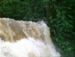 Waterfall, MCU muddy waterfall in rainforest, tilt down to foot of waterfall.  Panama. Stock Footage