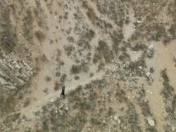 Long Shot tilt-down tilt-up - A bungee jumper leaps from a bridge into a gorge / Italy Stock Footage