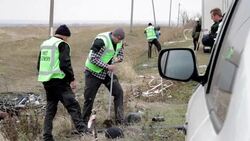 CLEAN : Documents from crashed MH17 flight handed to investigators News Clip