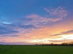 Rice sunset farm Stock Footage