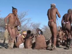 Ju hoansi San Bushmen of Nyae Nyae: traditional dancing, Namibia Stock Footage
