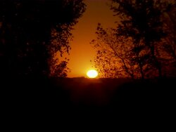 CU of the sunrise at sugar beet plant. Stock Footage