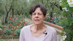 Blooms from one of the world's largest rose gardens News Clip