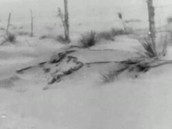 Dust Bowl Stock Footage