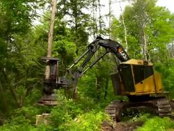 Hand held full shot of feller buncher as it cuts down tree , picks it up, and moves it. Stock Footage
