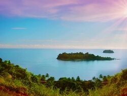 Tropical nature. Stock Footage