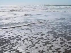 Ocean Waves Stock Footage