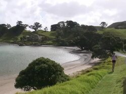 (HD1080i) Beach Runner Stock Footage
