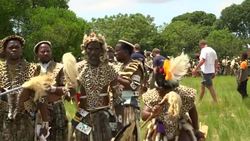 VOICED : Zulu worshippers don fake fur to save Sou News Clip