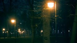 Street light in the snow Stock Footage